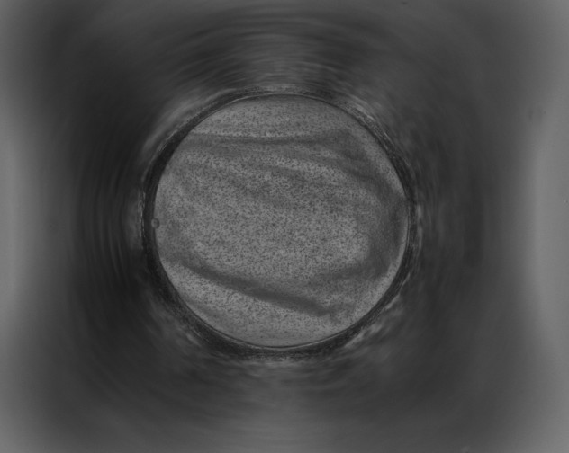 X0000086970194200705071403