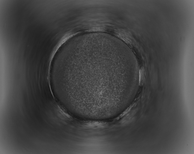 X0000086970195200705071403