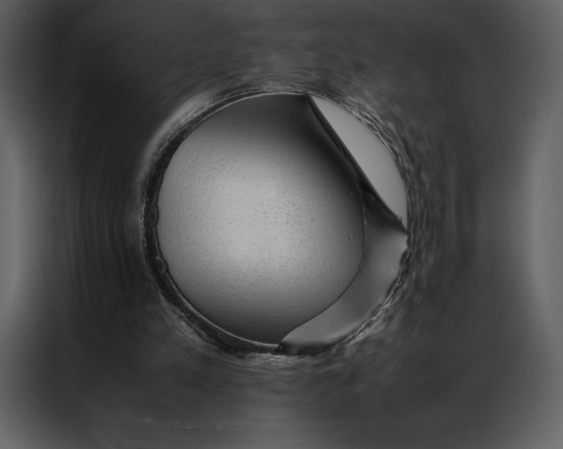 X0000086970197200705071403