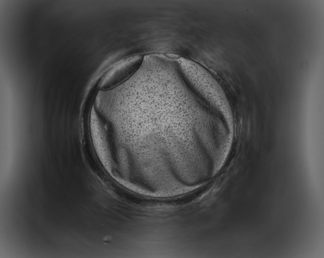 X0000086970198200705071403