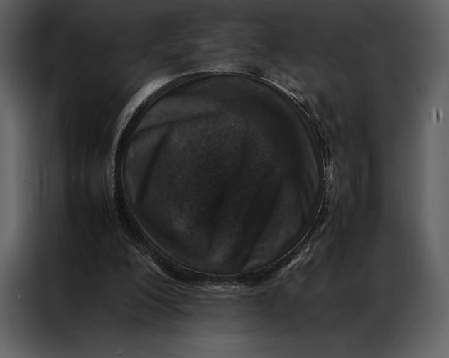 X0000086970200200705071403