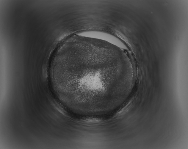 X0000086970203200705071403