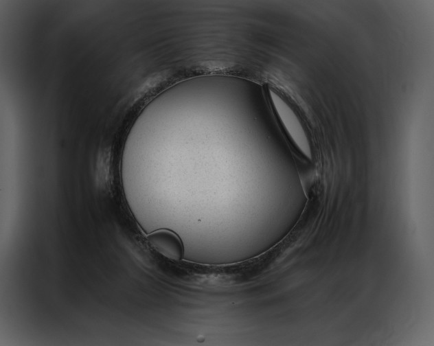 X0000086970212200705071403