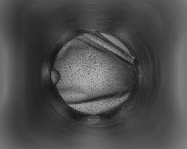 X0000086970214200705071403