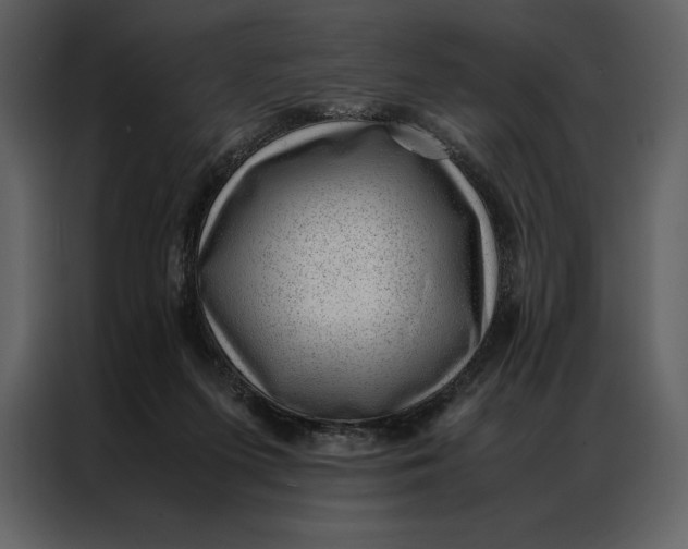 X0000086970215200705071403