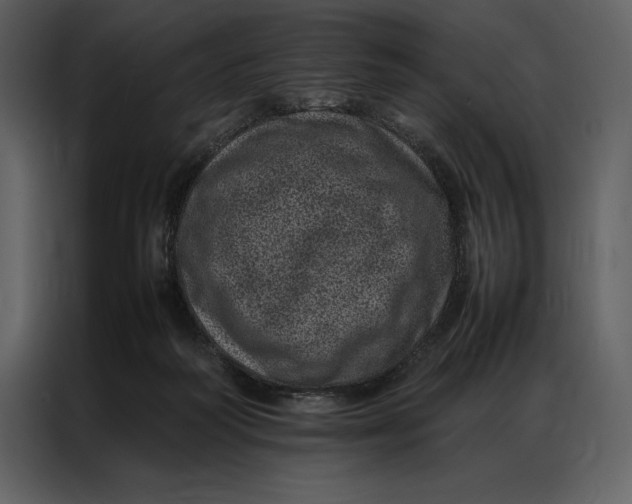 X0000086970218200705071403