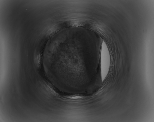 X0000086970219200705071403