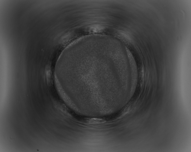 X0000086970222200705071403