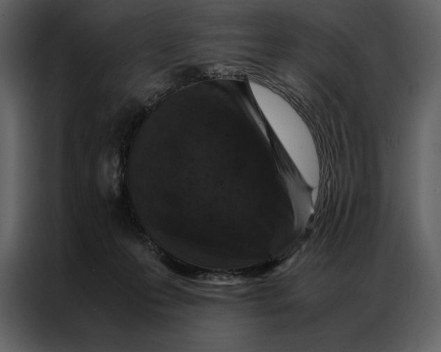 X0000086970223200705071403