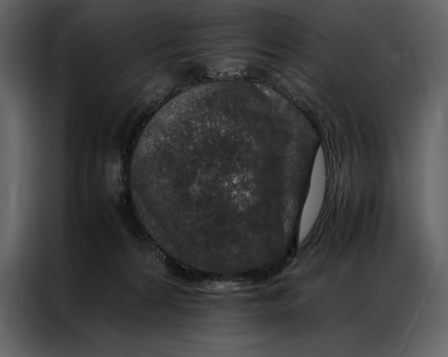 X0000086970224200705071403