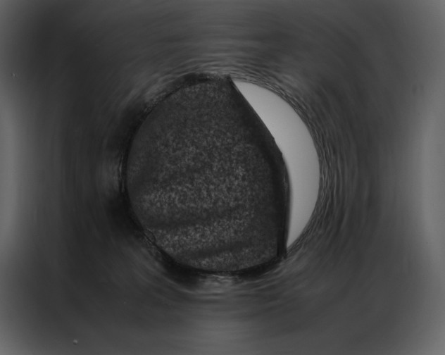 X0000086970227200705071403