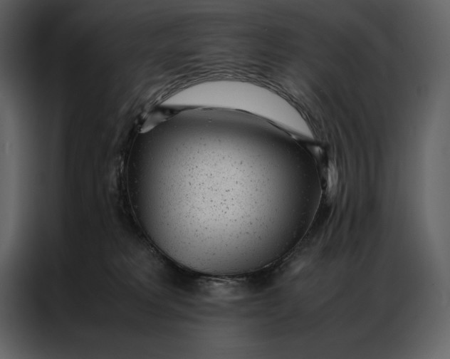 X0000086970229200705071403