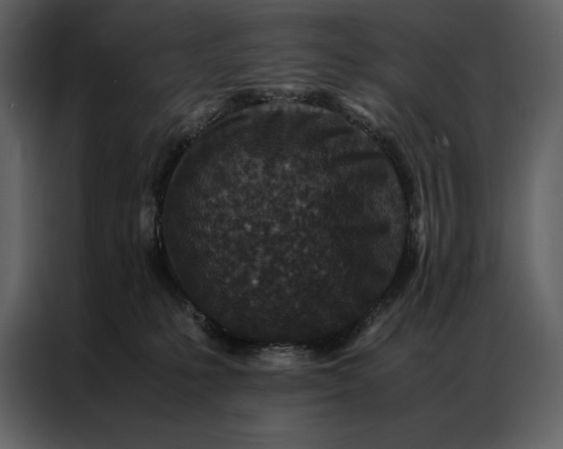 X0000086970231200705071403