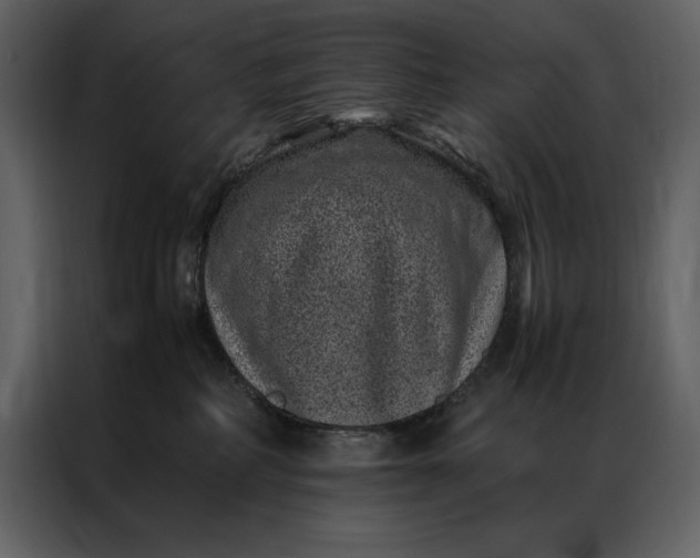 X0000086970234200705071403