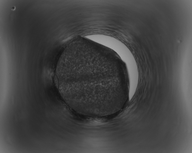 X0000086970235200705071403