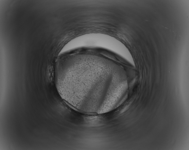 X0000086970237200705071403