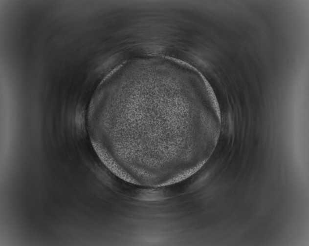 X0000086970238200705071403