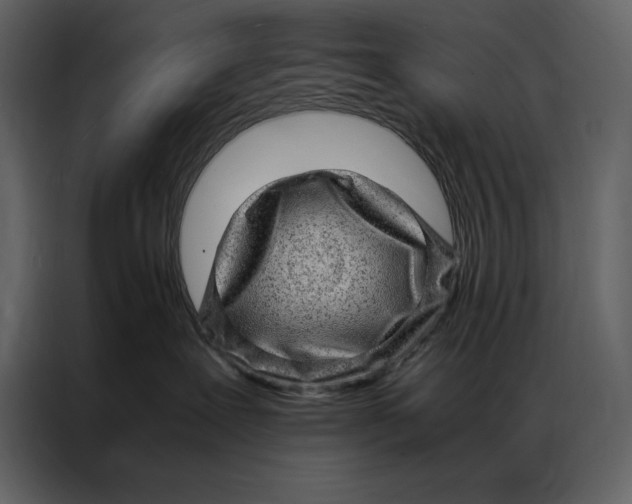 X0000086970239200705071403