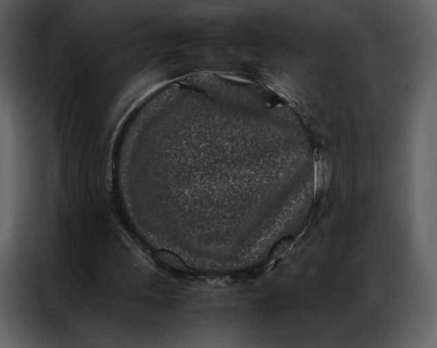 X0000086970243200705071402