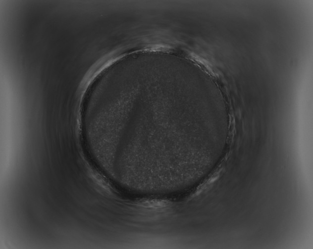 X0000086970247200705071402