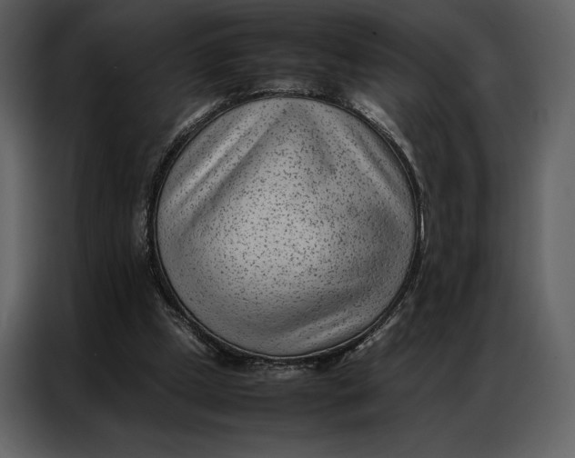 X0000086970249200705071402