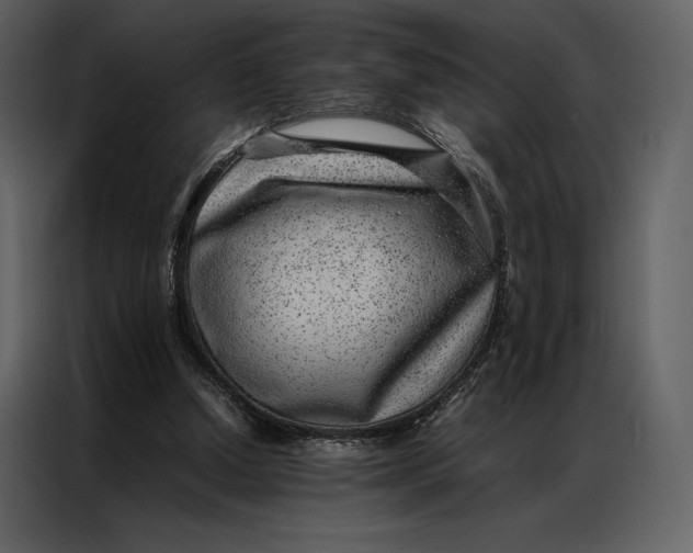 X0000086970250200705071402