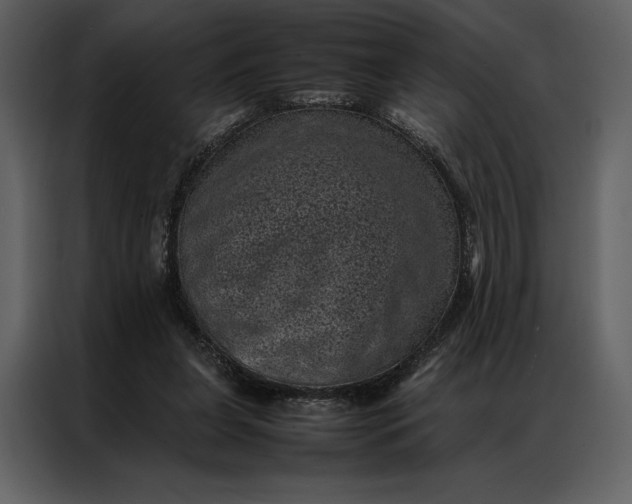 X0000086970255200705071402