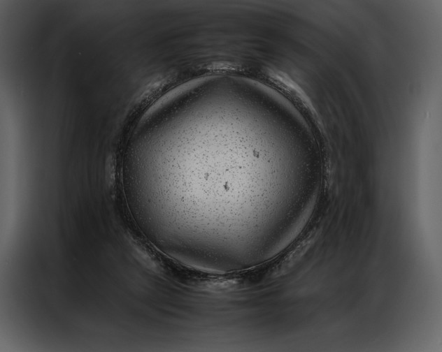 X0000086970257200705071402