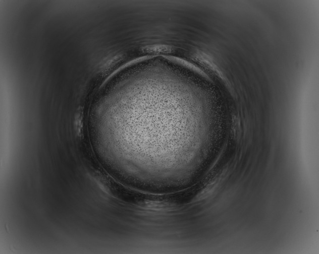 X0000086970259200705071402