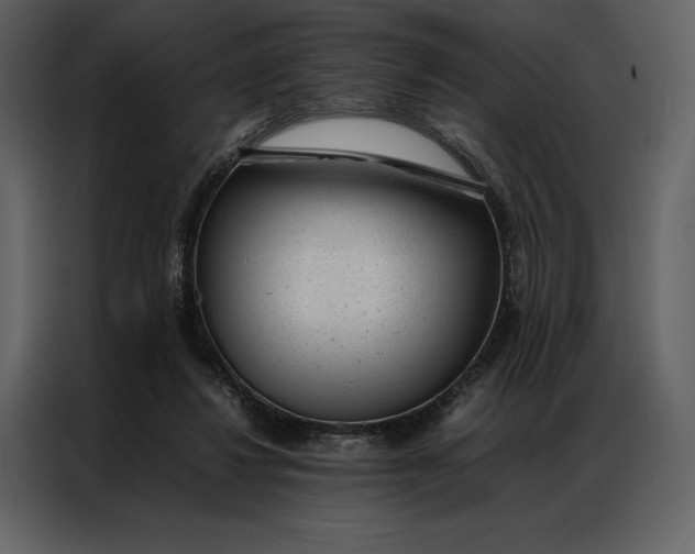 X0000086970260200705071402