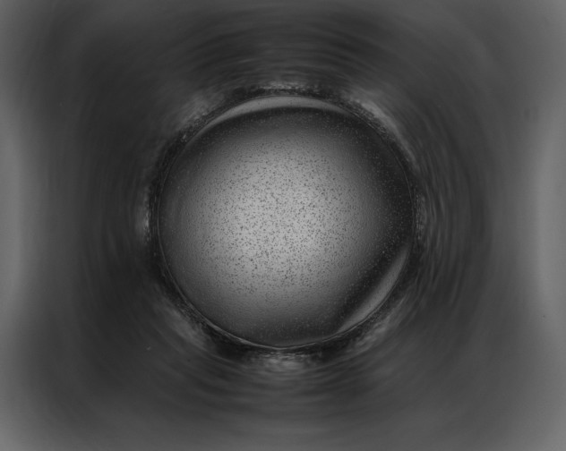 X0000086970261200705071402