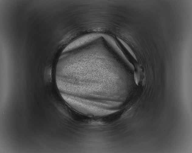 X0000086970262200705071402