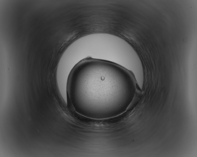 X0000086970264200705071402