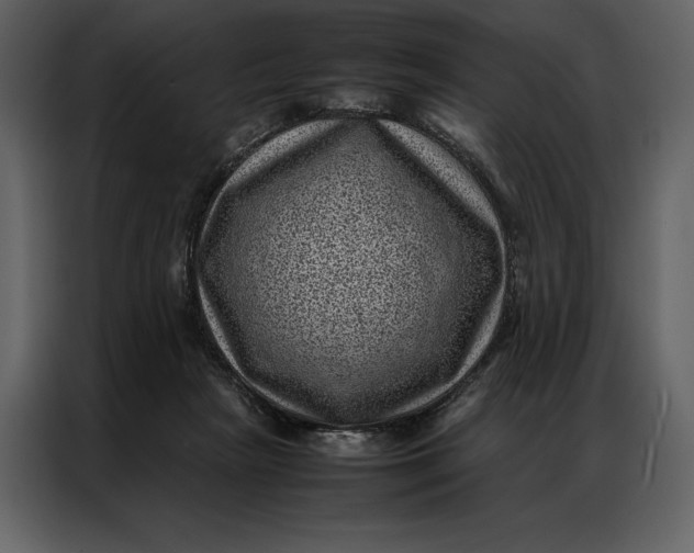 X0000086970265200705071402