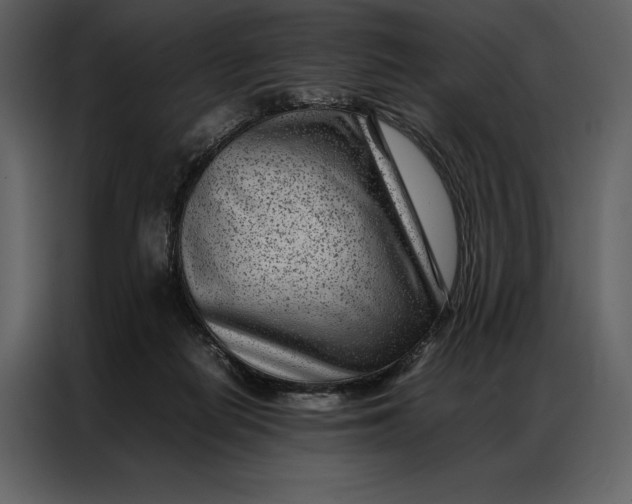 X0000086970266200705071403