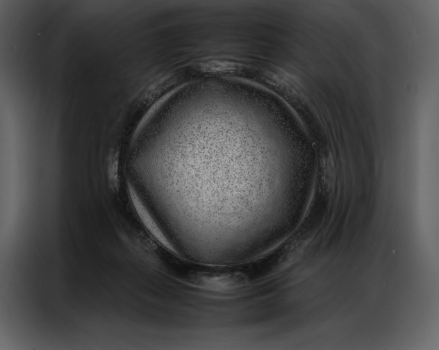 X0000086970267200705071403