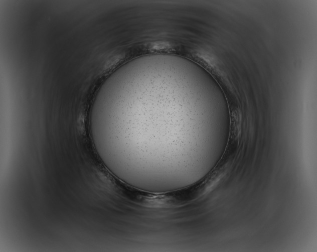 X0000086970269200705071403