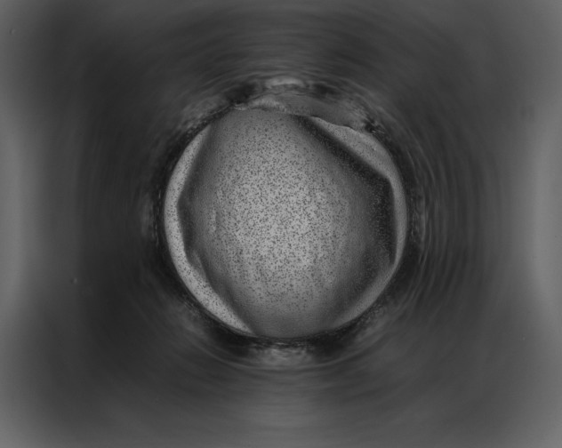 X0000086970270200705071403