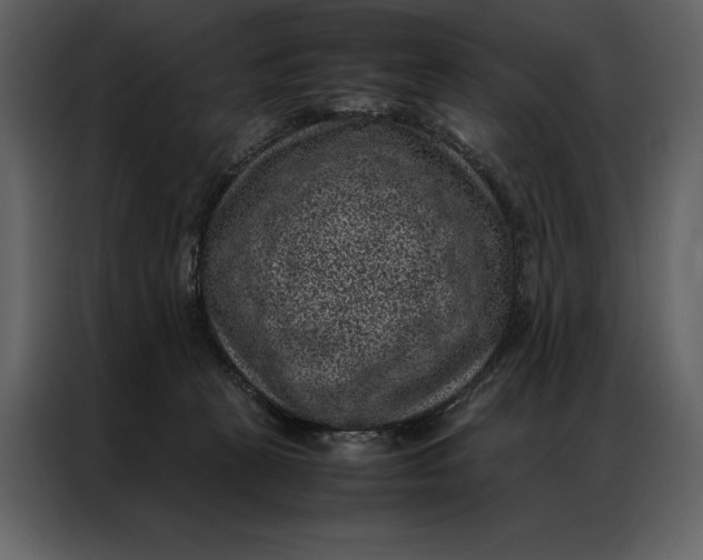 X0000086970273200705071403