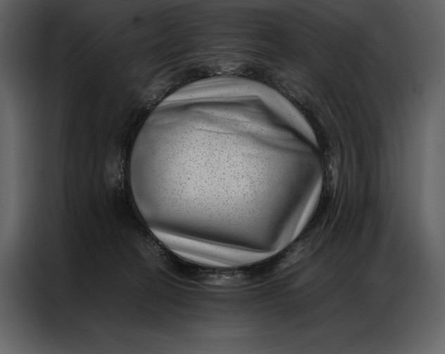 X0000086970274200705071403