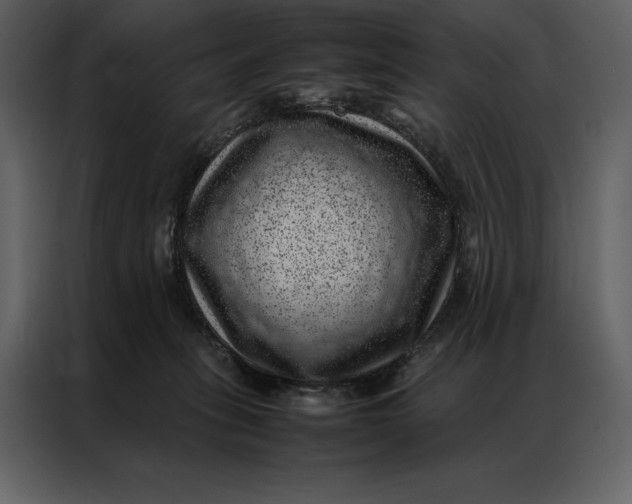 X0000086970275200705071403