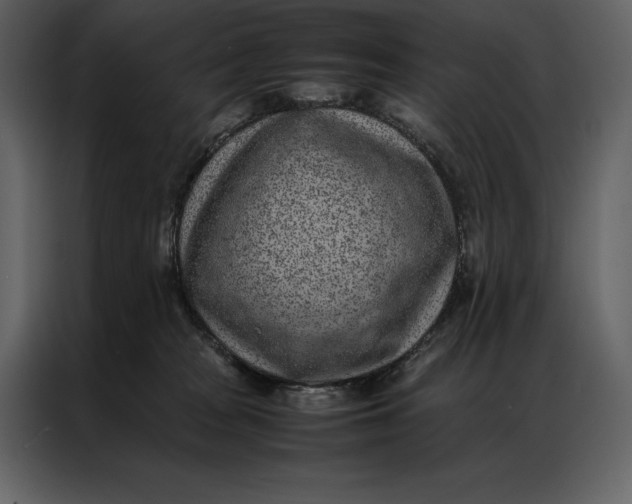 X0000086970277200705071403