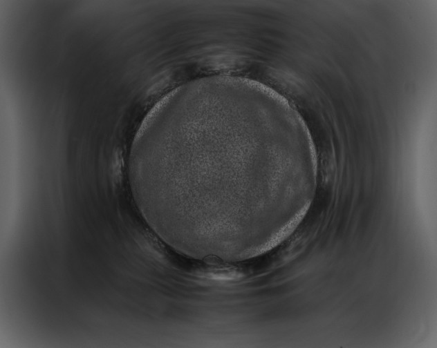 X0000086970279200705071403