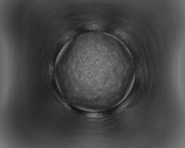 X0000086970281200705071403