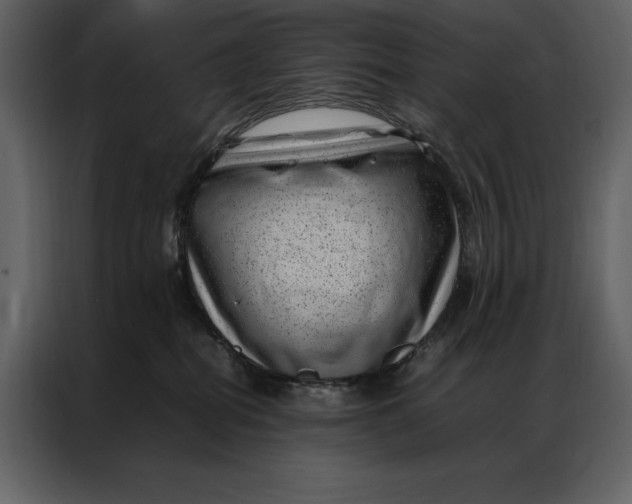 X0000086970282200705071403