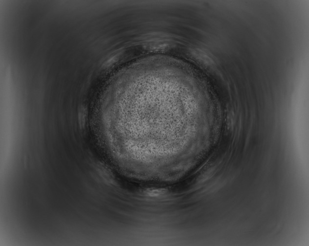 X0000086970283200705071403