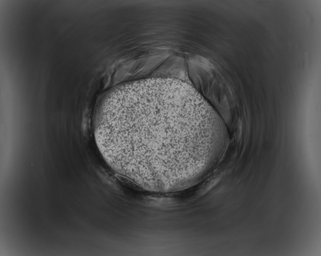 X0000086970284200705071403