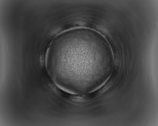 X0000086970285200705071403