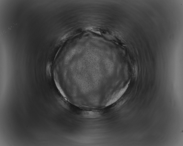 X0000086970286200705071403