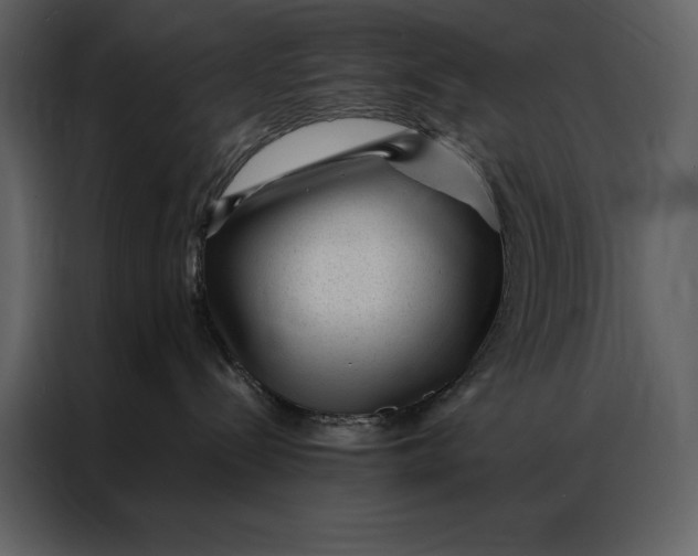 X0000086970288200705071403